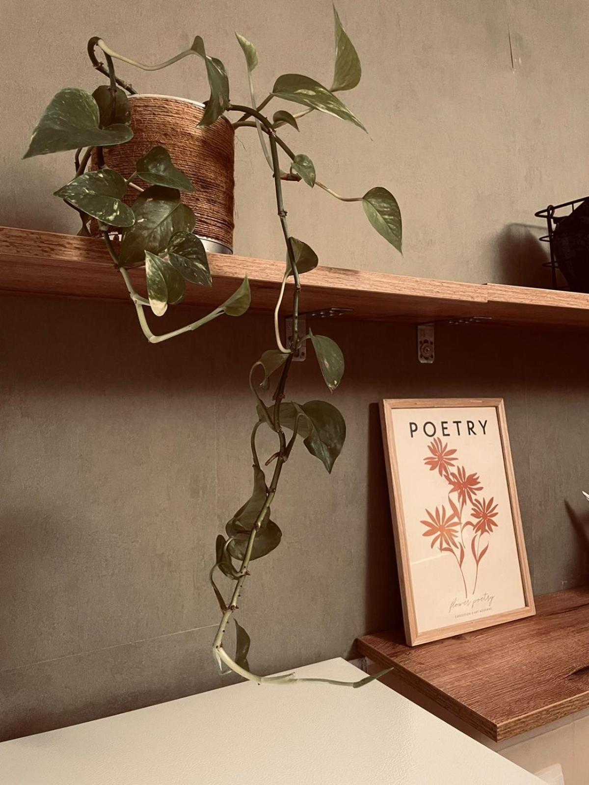 Drd Pristine Apartment 外观 照片